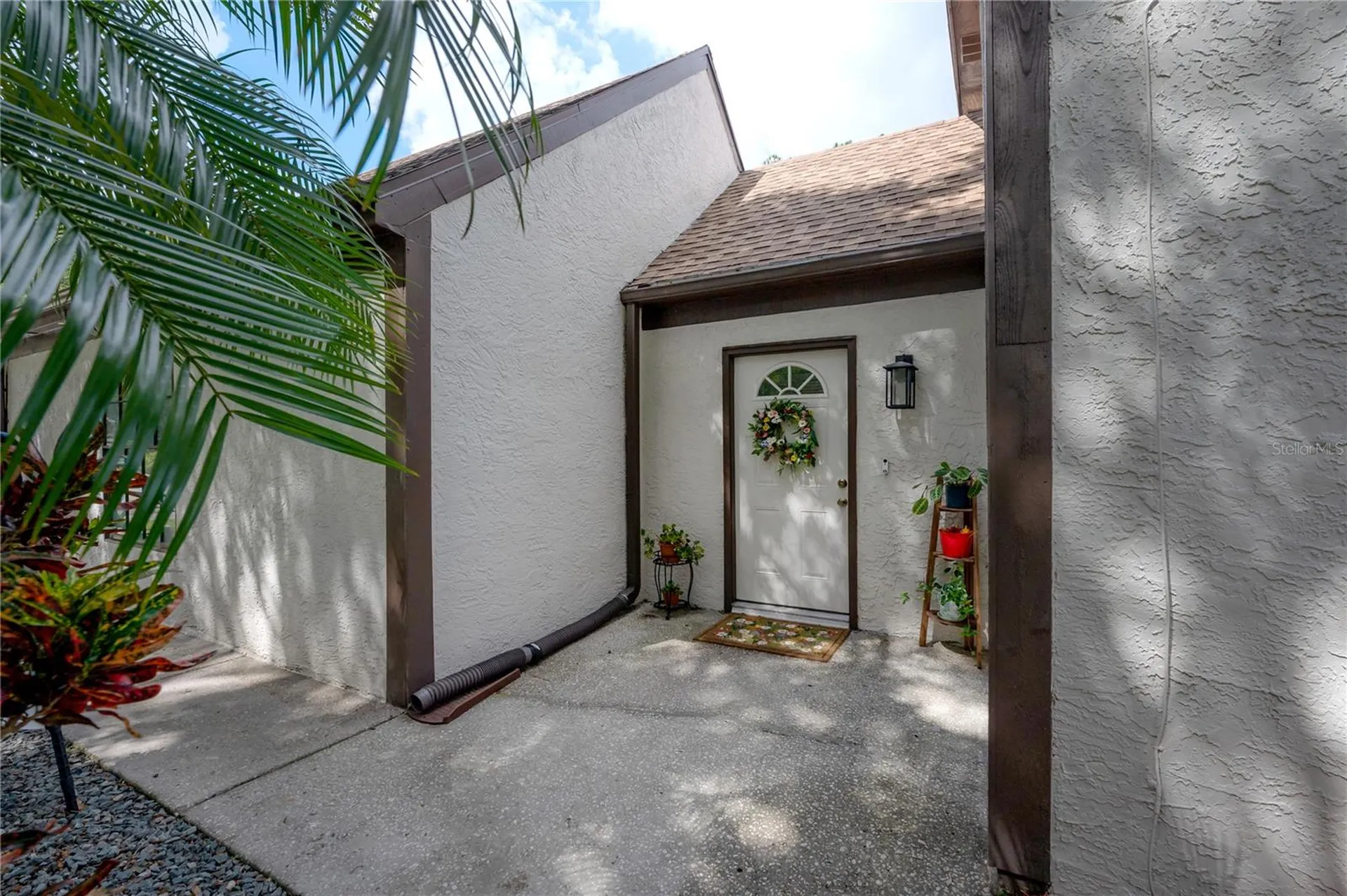 16109 Dawnview Drive Tampa FL 33624