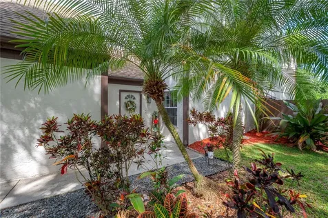 16109 Dawnview Drive Tampa FL 33624