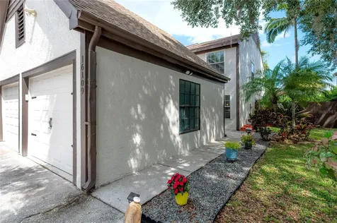 16109 Dawnview Drive Tampa FL 33624