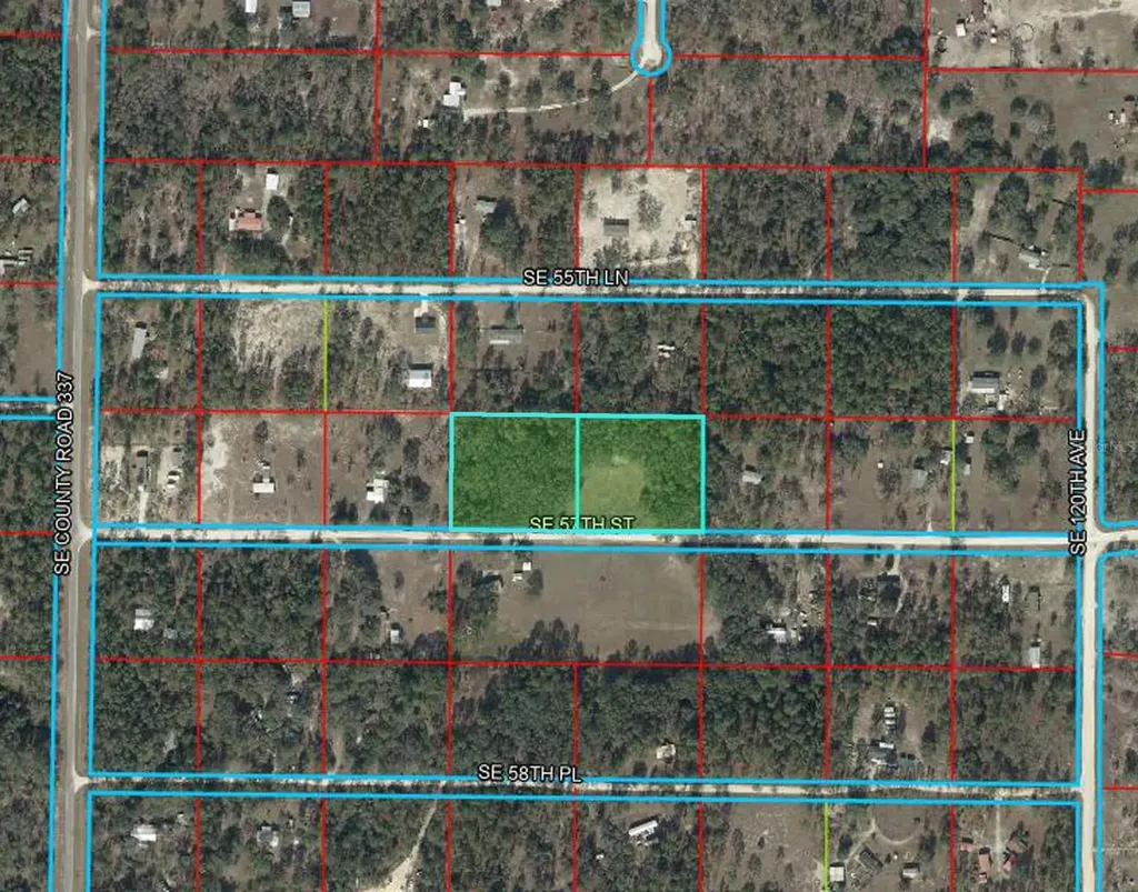 11751 SE 57th Street Morriston FL 32668