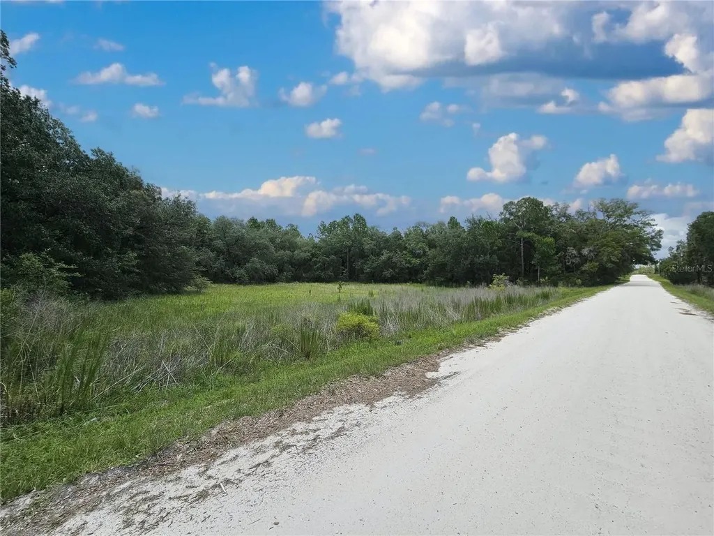 11751 SE 57th Street Morriston FL 32668