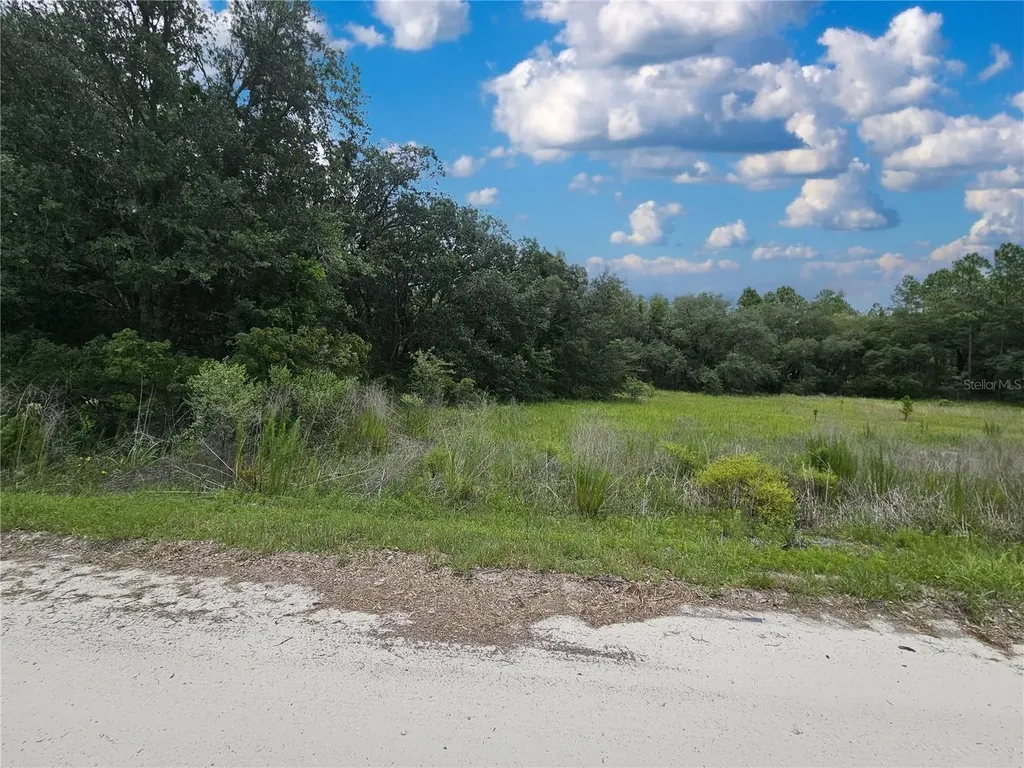 11751 SE 57th Street Morriston FL 32668