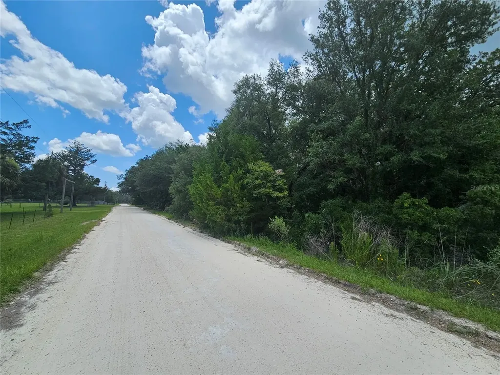 11751 SE 57th Street Morriston FL 32668