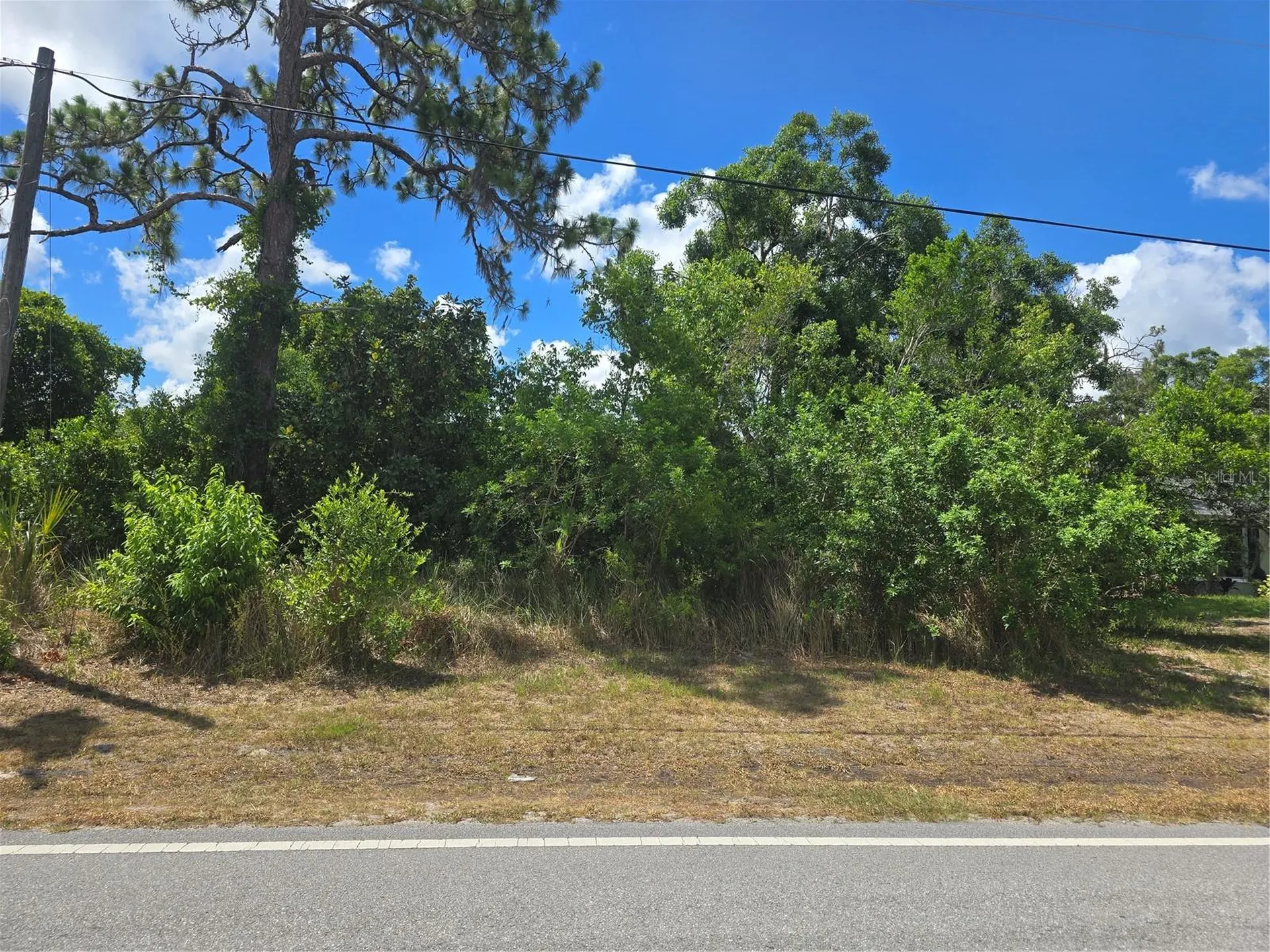 Lacey Drive New Port Richey FL 34654