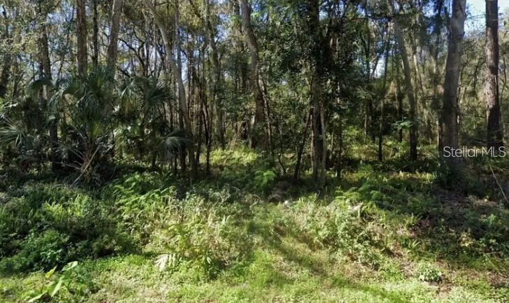 0 Zoller Street Brooksville FL 34601