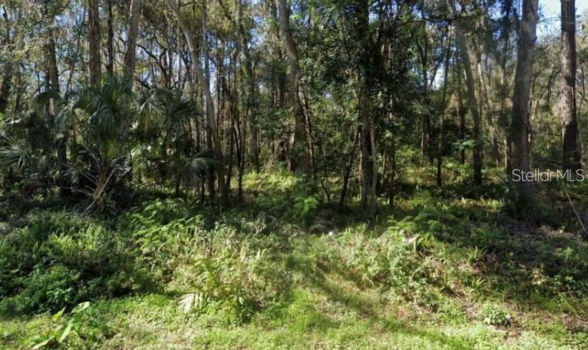 0 Zoller Street Brooksville FL 34601