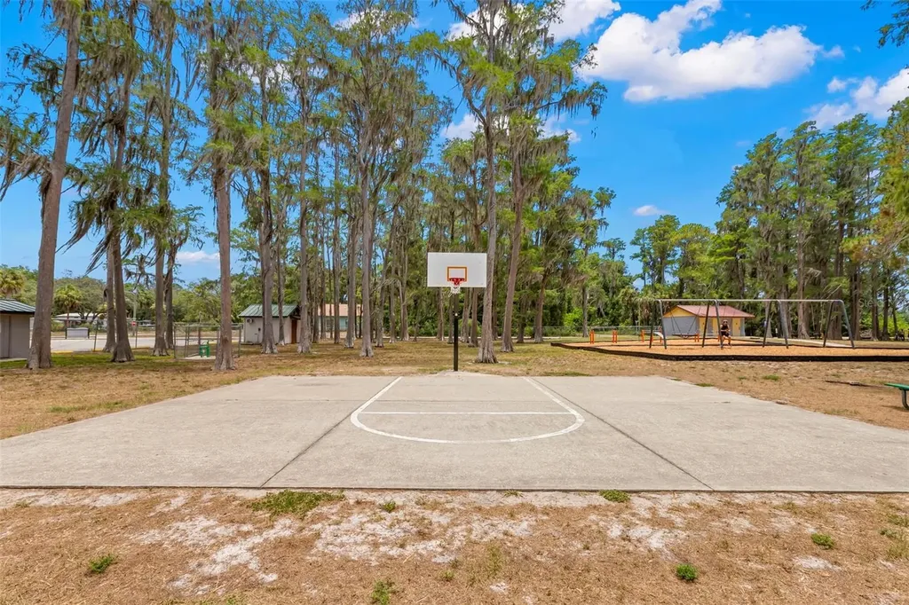 12665 Lacey Drive New Port Richey FL 34654