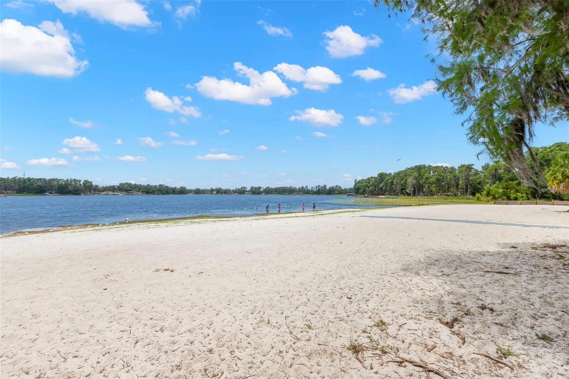 12665 Lacey Drive New Port Richey FL 34654