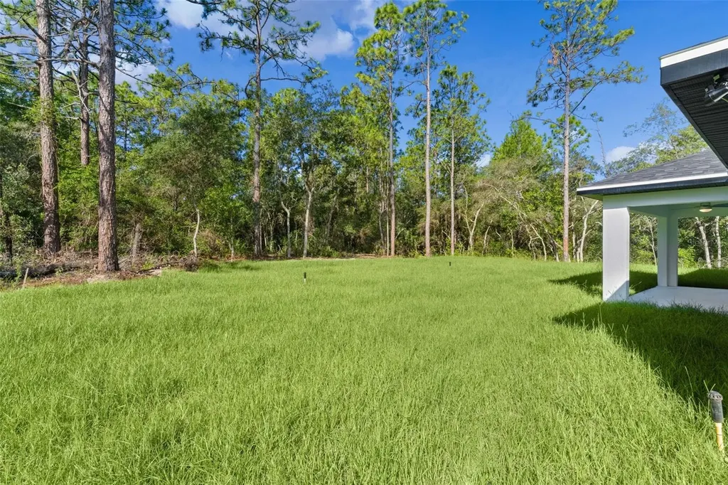 3228 W Camilo Drive Citrus Springs FL 34433