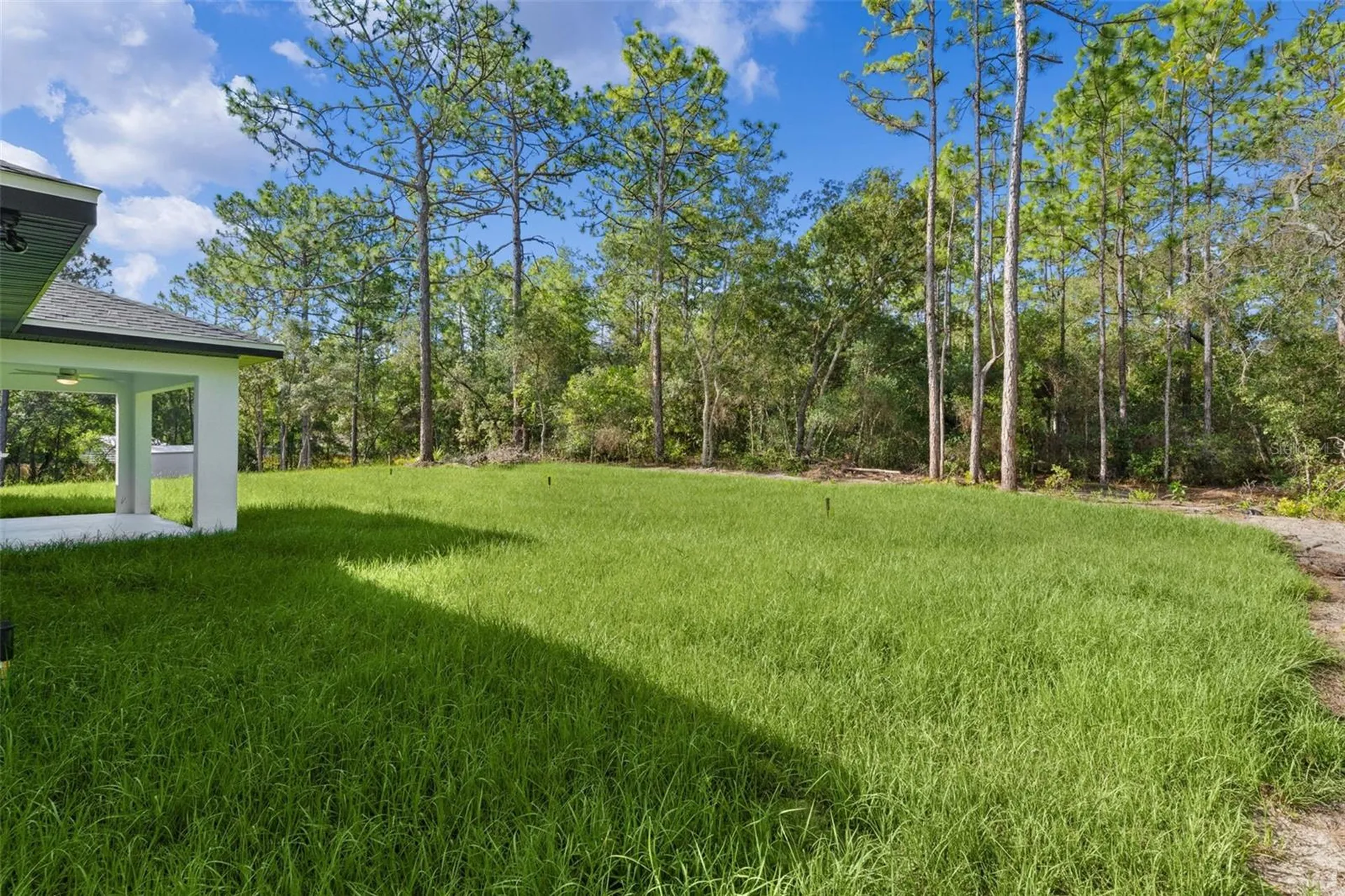 3228 W Camilo Drive Citrus Springs FL 34433