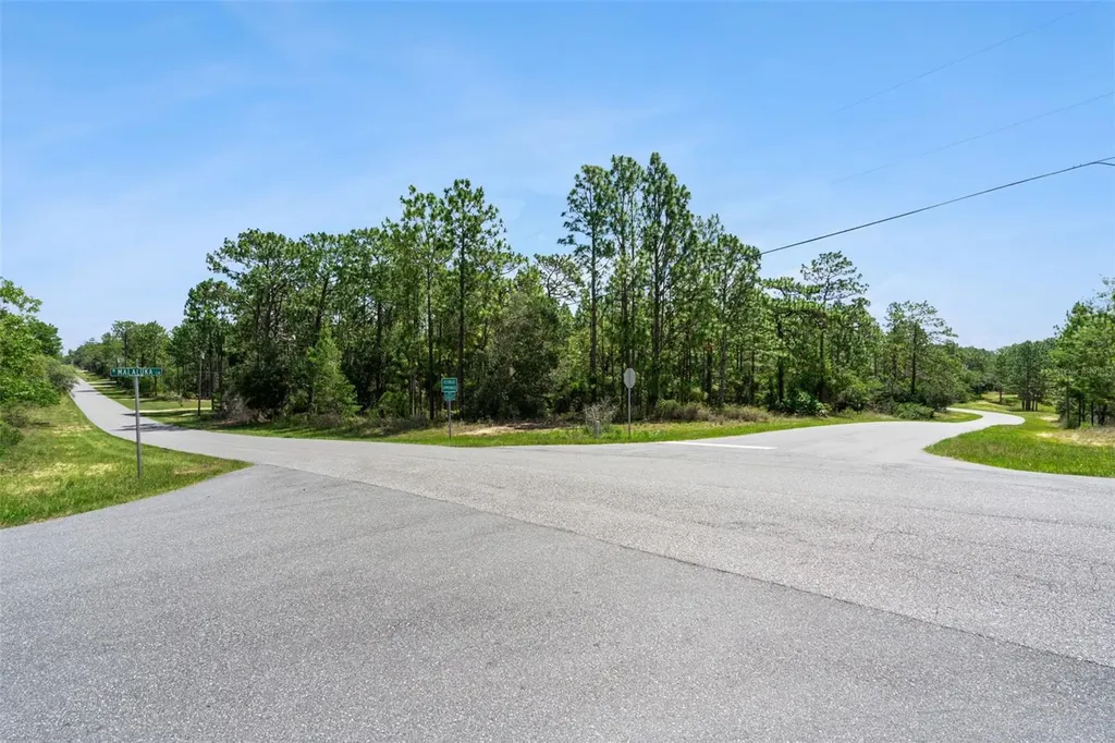 4181 W Malaluka Circle Citrus Springs FL 34433