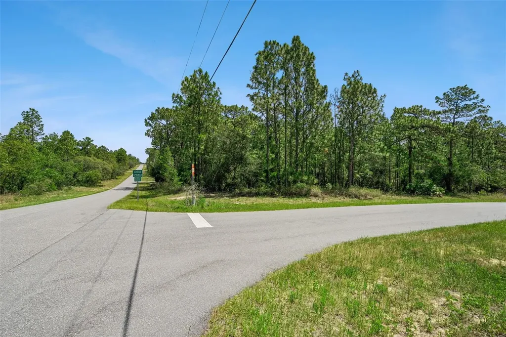4181 W Malaluka Circle Citrus Springs FL 34433