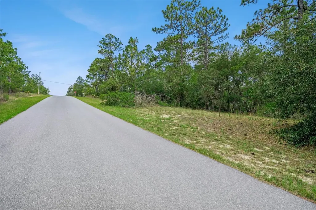 4181 W Malaluka Circle Citrus Springs FL 34433