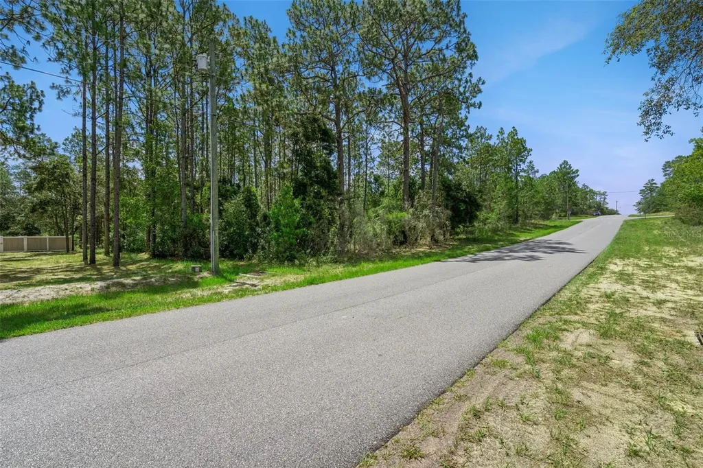4181 W Malaluka Circle Citrus Springs FL 34433