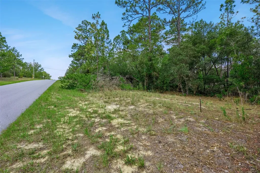 4181 W Malaluka Circle Citrus Springs FL 34433