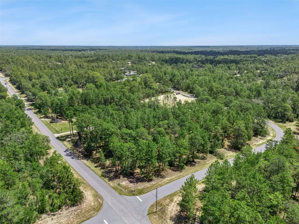 4181 W Malaluka Circle Citrus Springs FL 34433