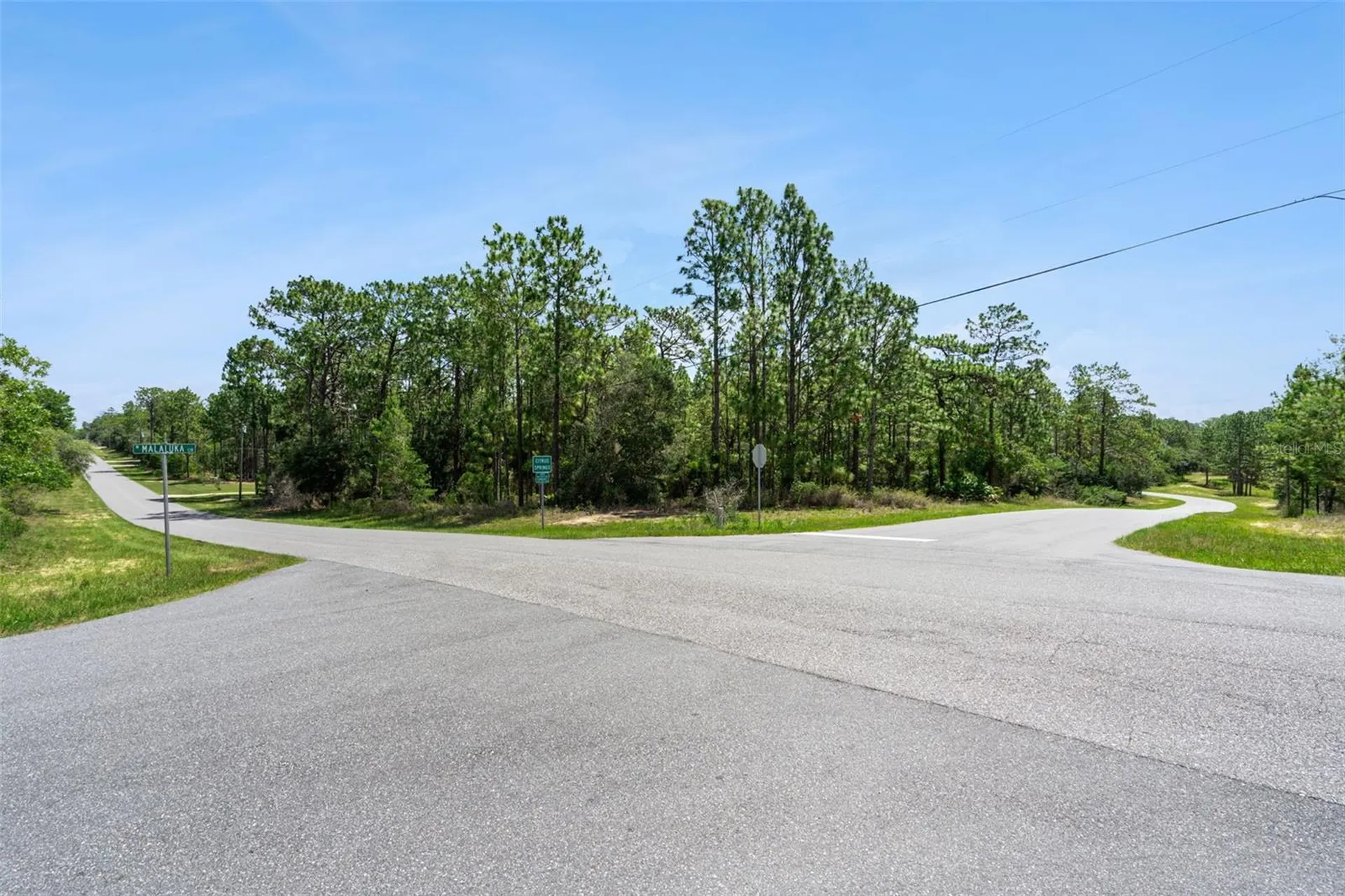 4181 W Malaluka Circle Citrus Springs FL 34433