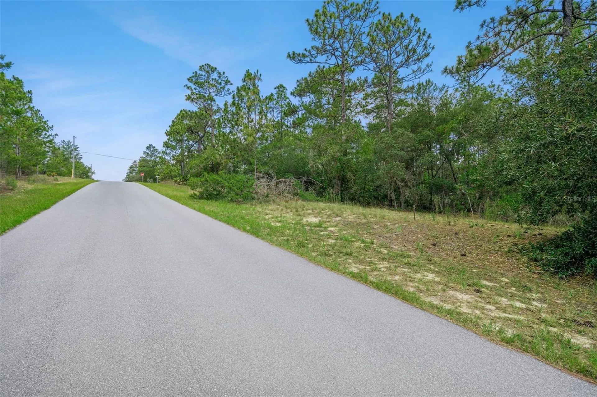 4181 W Malaluka Circle Citrus Springs FL 34433