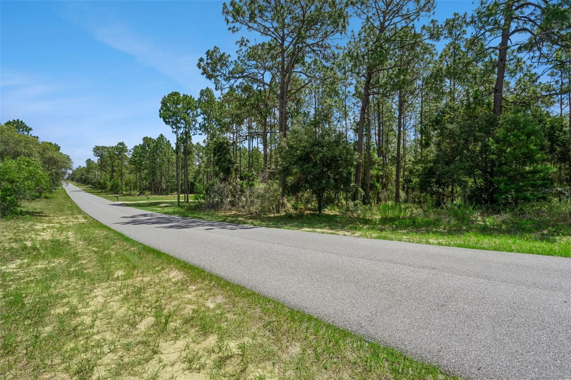 4181 W Malaluka Circle Citrus Springs FL 34433