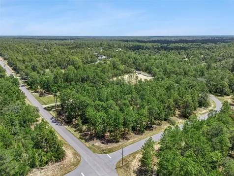 4181 W Malaluka Circle Citrus Springs FL 34433