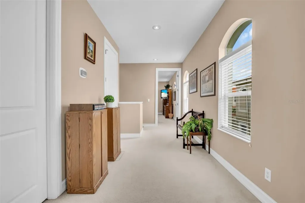 1460 Ribolla Drive Palm Harbor FL 34683