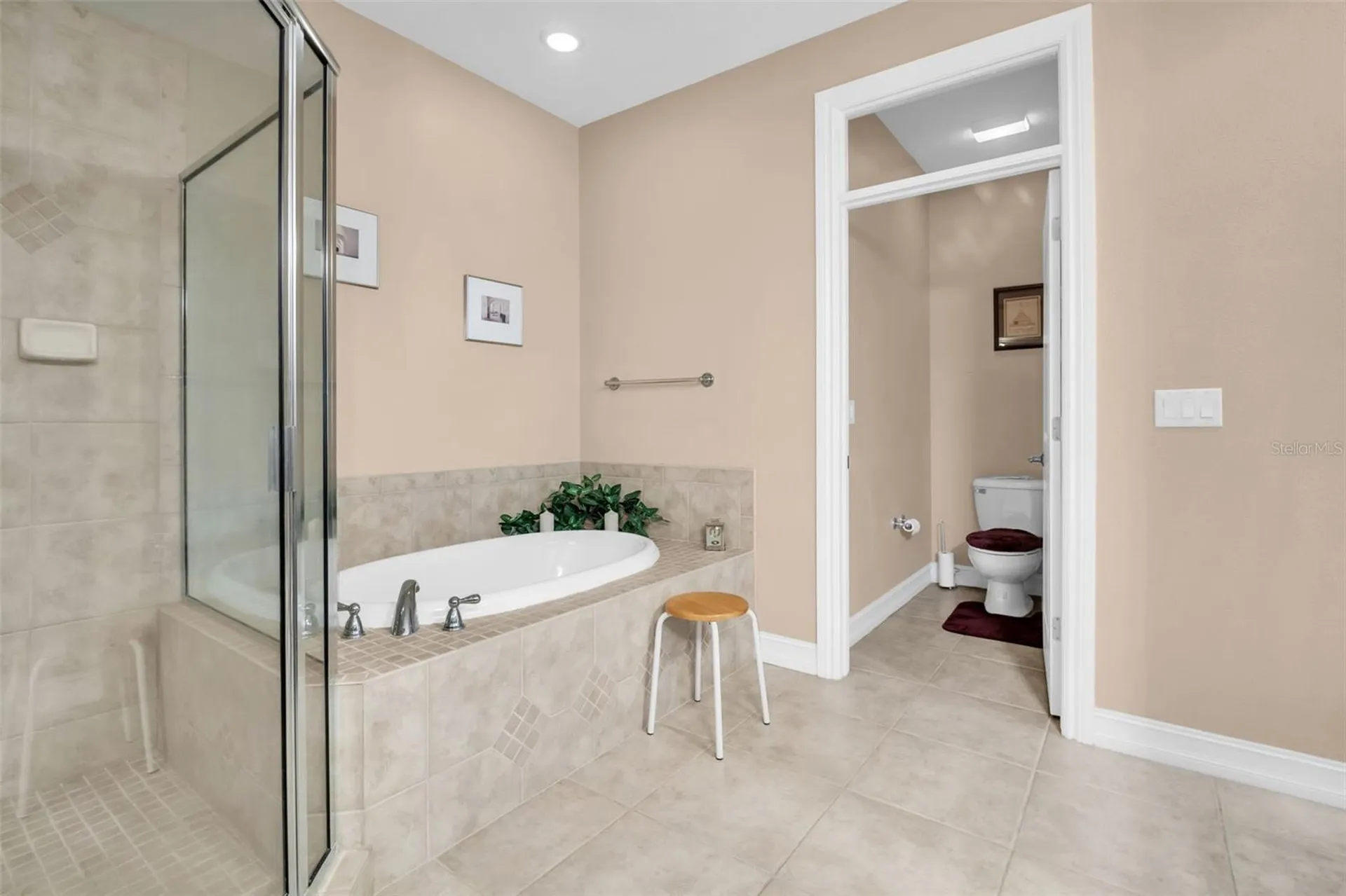1460 Ribolla Drive Palm Harbor FL 34683