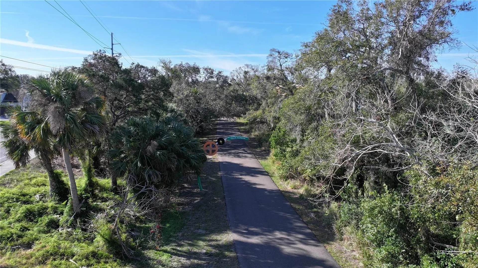 1460 Ribolla Drive Palm Harbor FL 34683