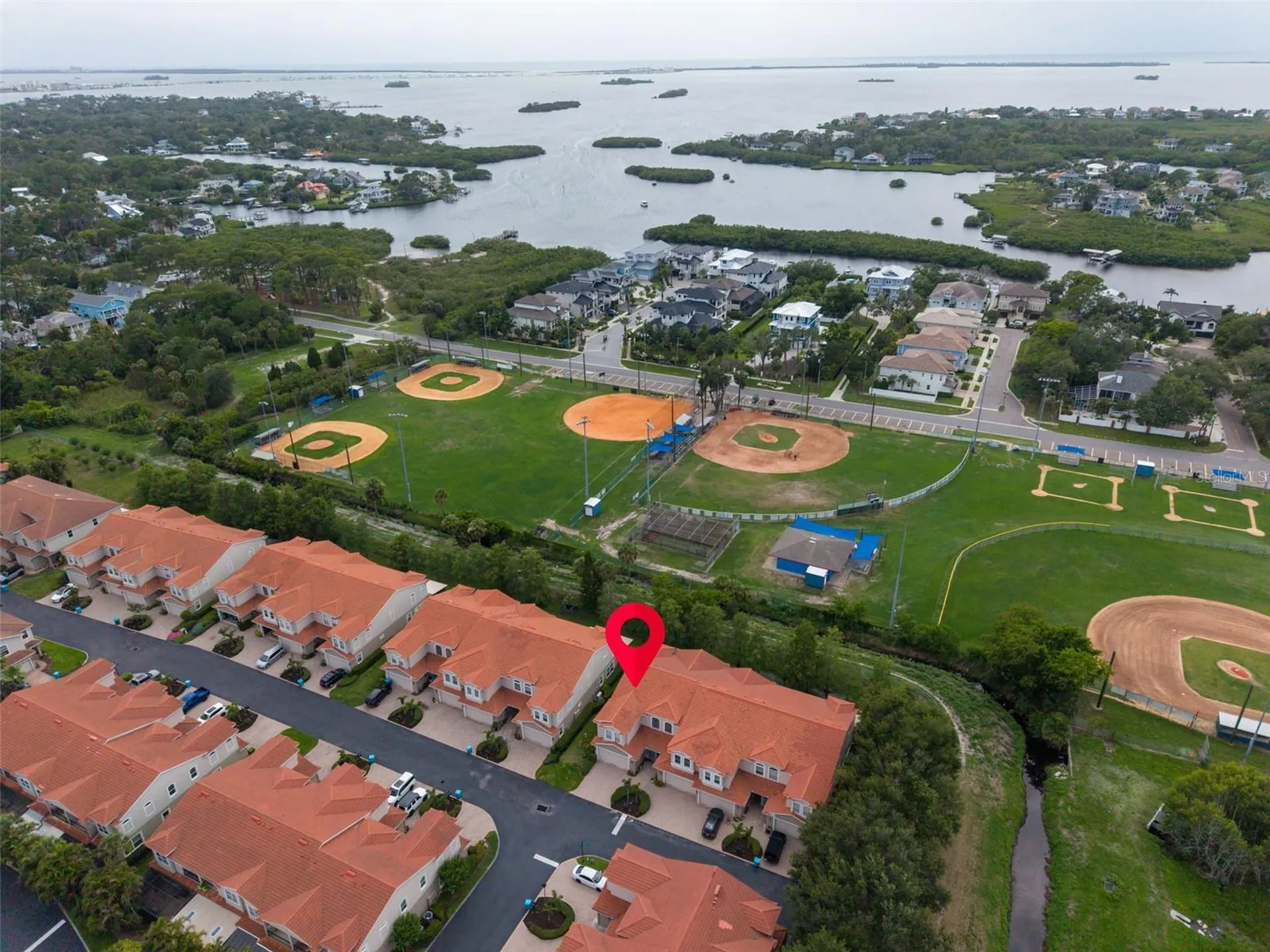 1460 Ribolla Drive Palm Harbor FL 34683