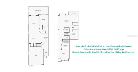 1460 Ribolla Drive Palm Harbor FL 34683