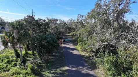 1460 Ribolla Drive Palm Harbor FL 34683