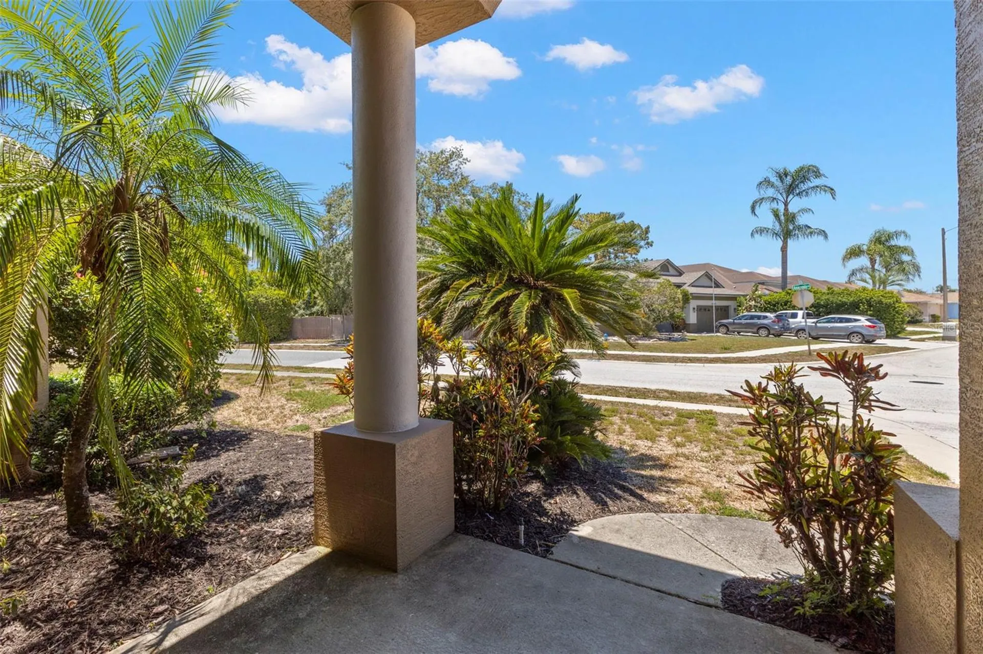 4638 Anaconda Drive New Port Richey FL 34655