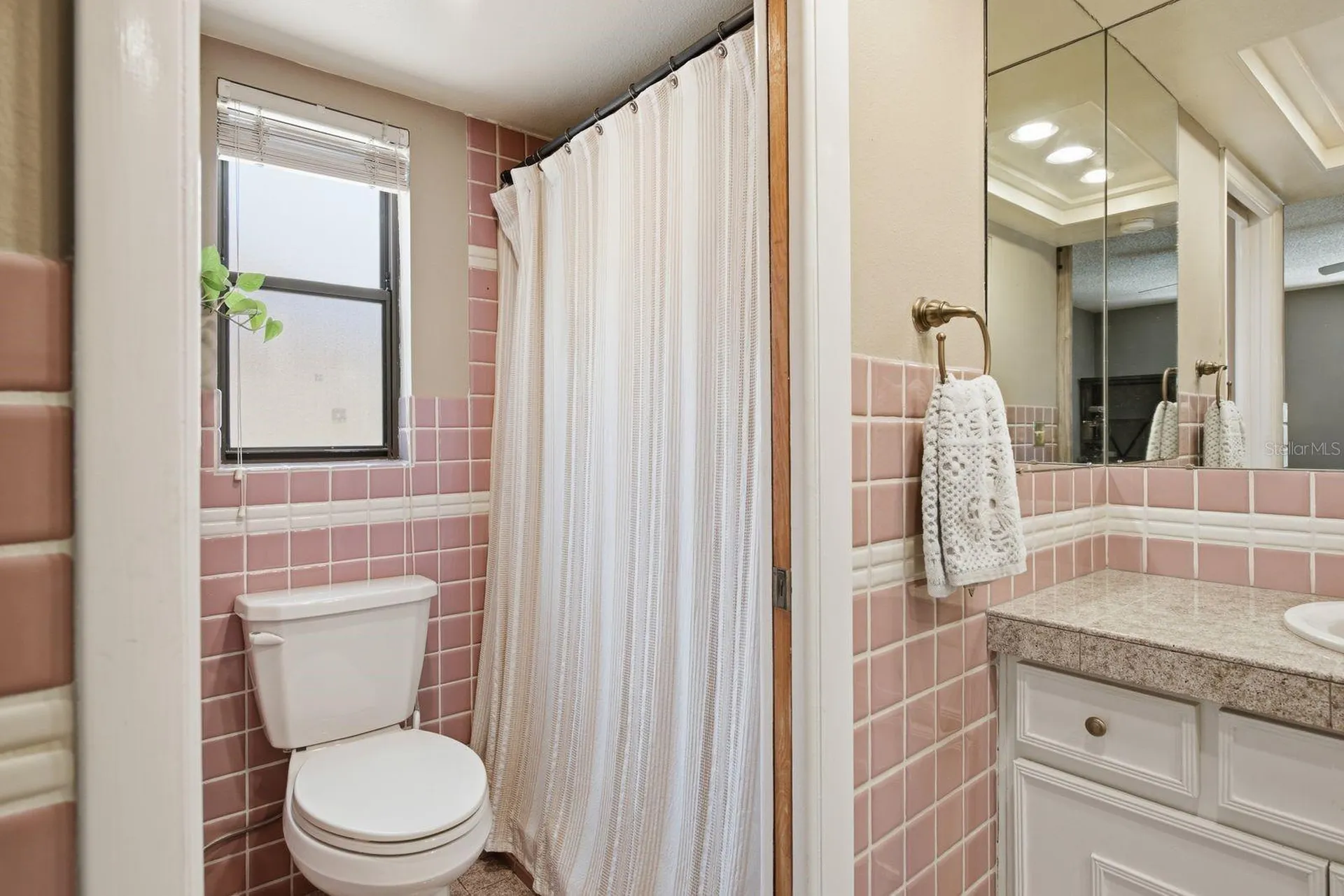1635 Brandywine Way Dunedin FL 34698