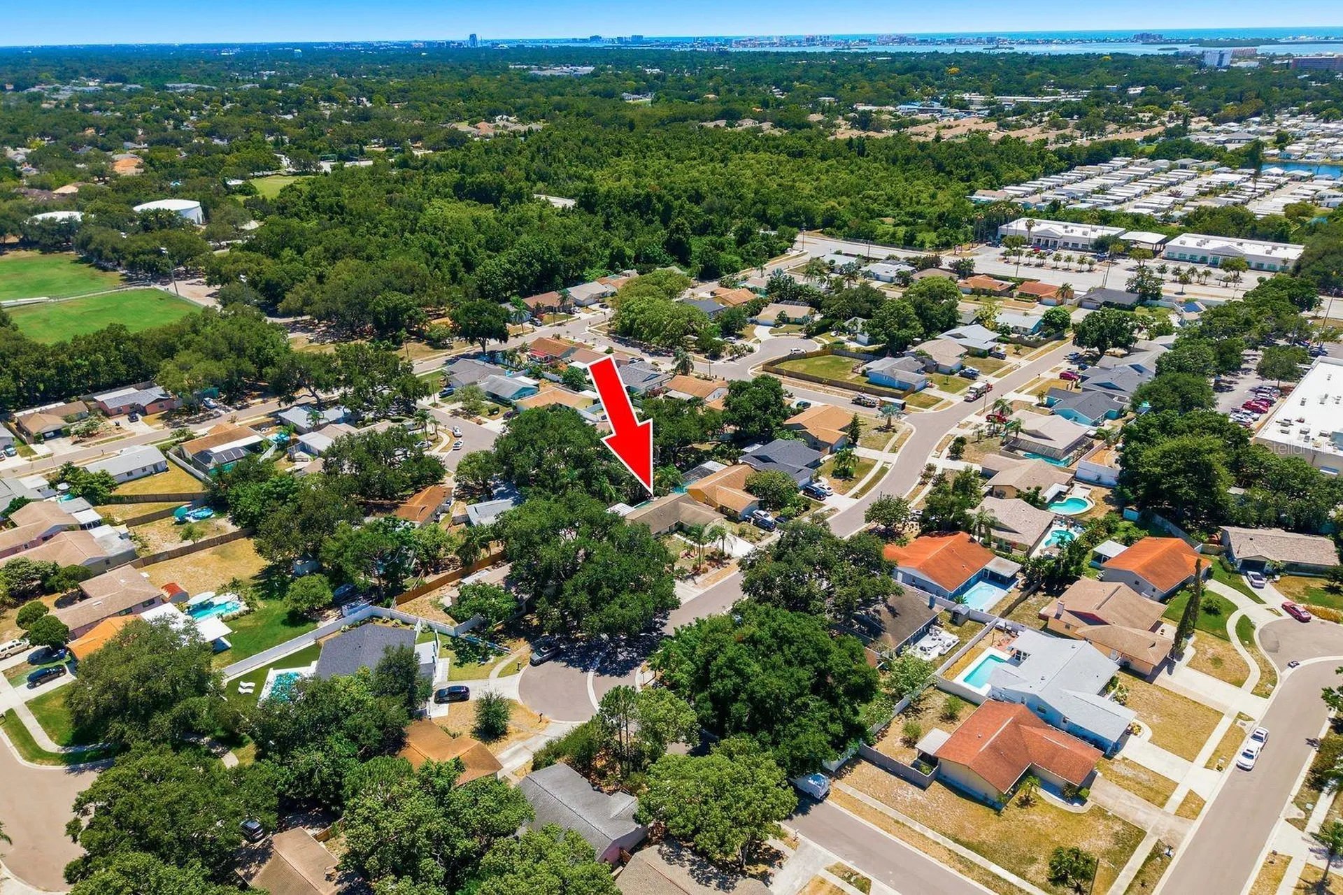 1635 Brandywine Way Dunedin FL 34698