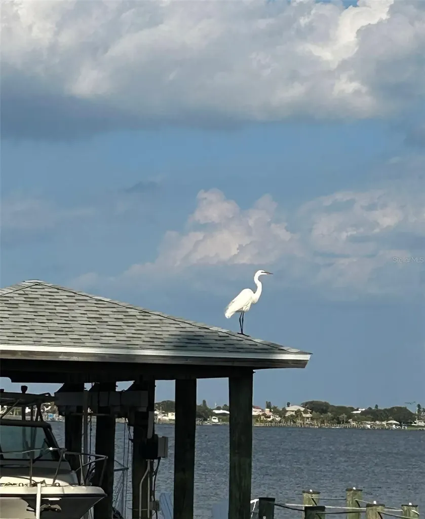 130 Reef Road South Daytona FL 32119