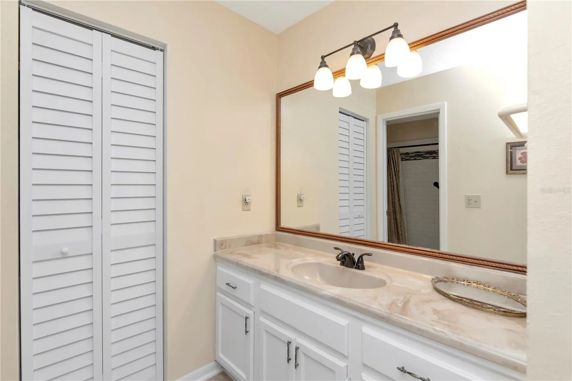 3909 Carroll Cypress Court Tampa FL 33614