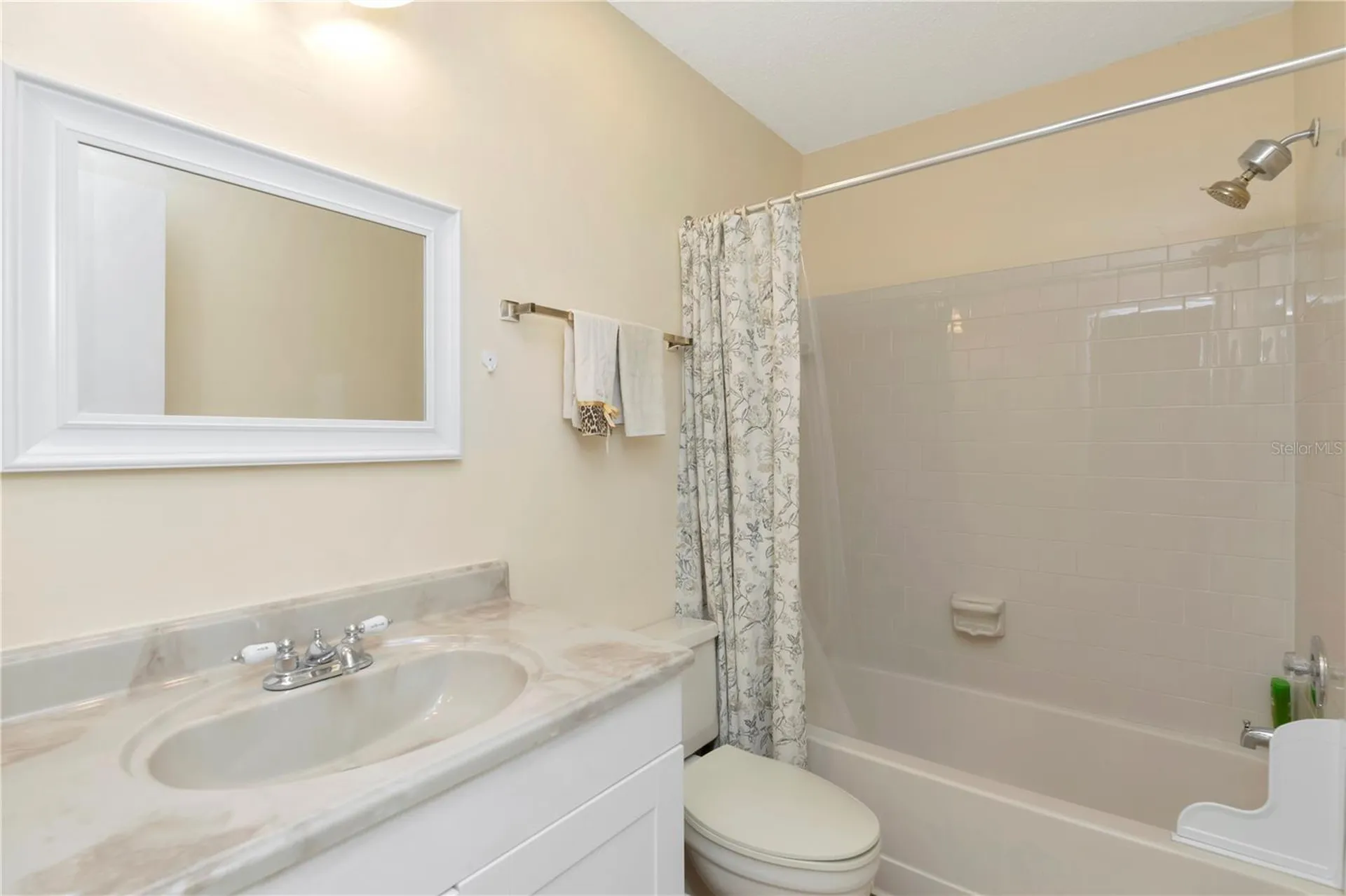 3909 Carroll Cypress Court Tampa FL 33614