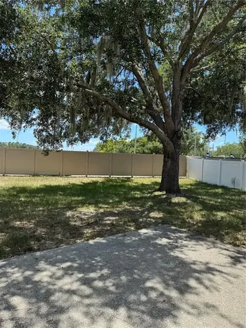 18006 Birdwater Drive Tampa FL 33647