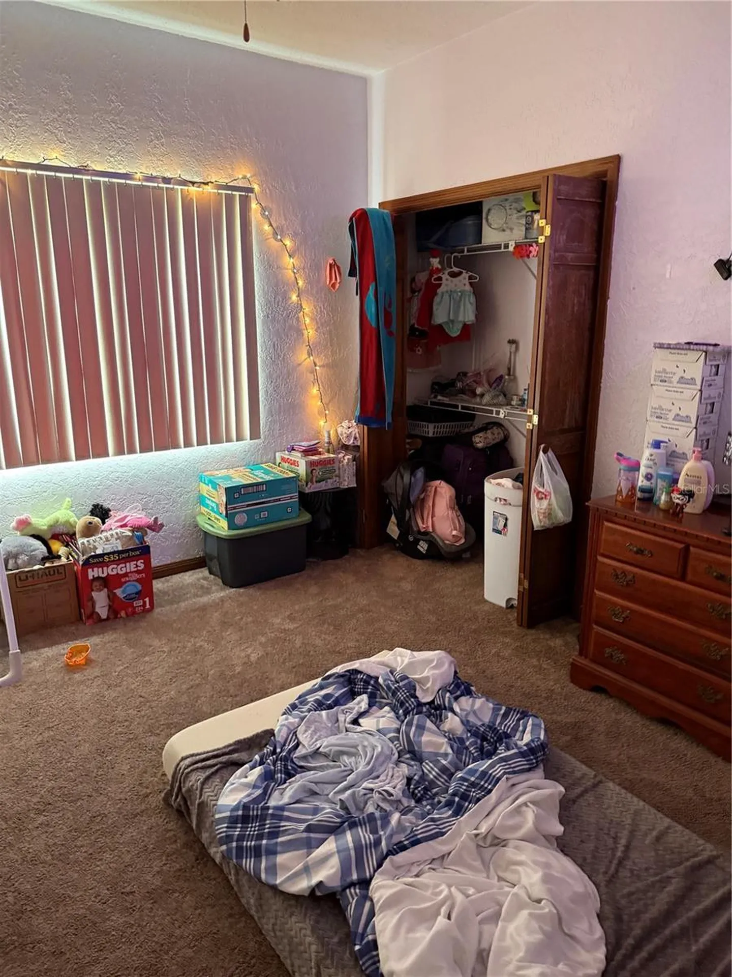 10005 Hunt Cliff Drive Riverview FL 33569