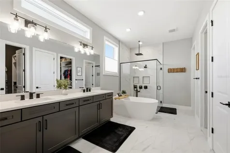 8958 Ivy Stark Boulevard Wesley Chapel FL 33545
