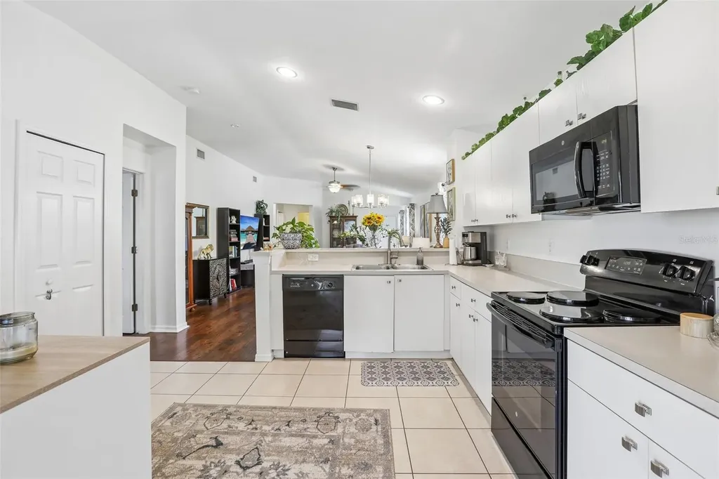 11339 Palm Island Avenue Riverview FL 33569