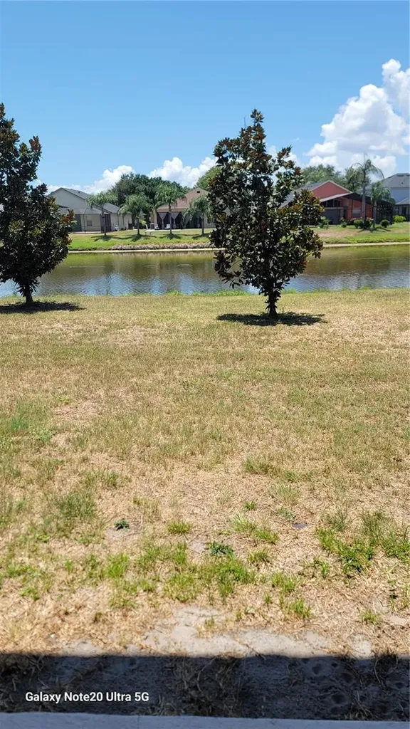 7005 Towering Spruce Drive Riverview FL 33578