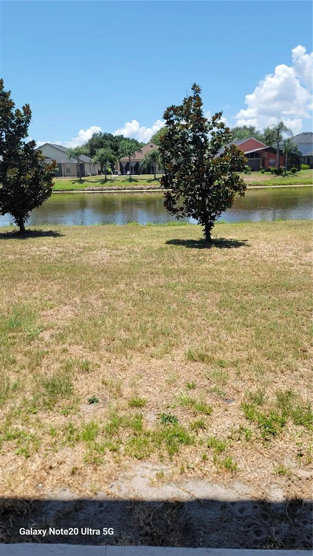 7005 Towering Spruce Drive Riverview FL 33578