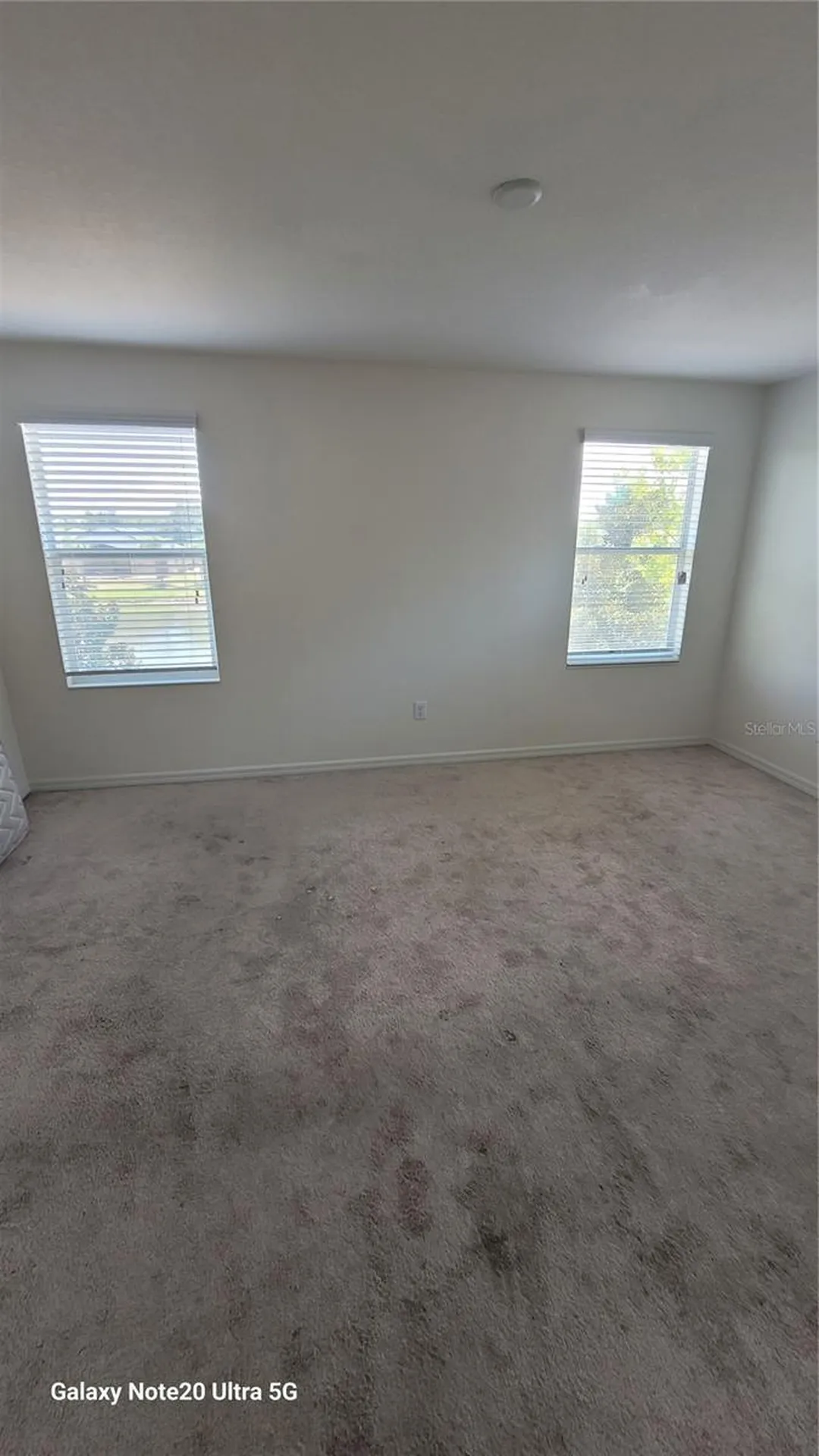 7005 Towering Spruce Drive Riverview FL 33578