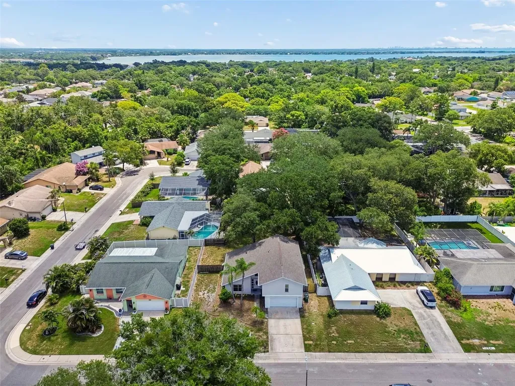4163 Mallard Drive Safety Harbor FL 34695
