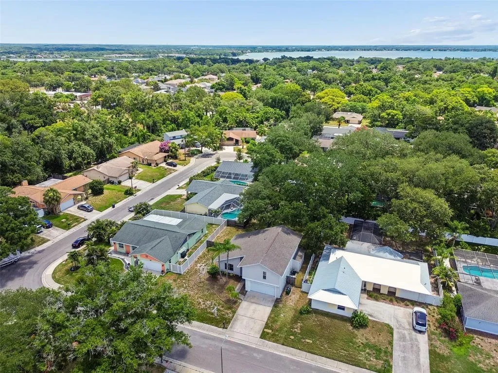 4163 Mallard Drive Safety Harbor FL 34695
