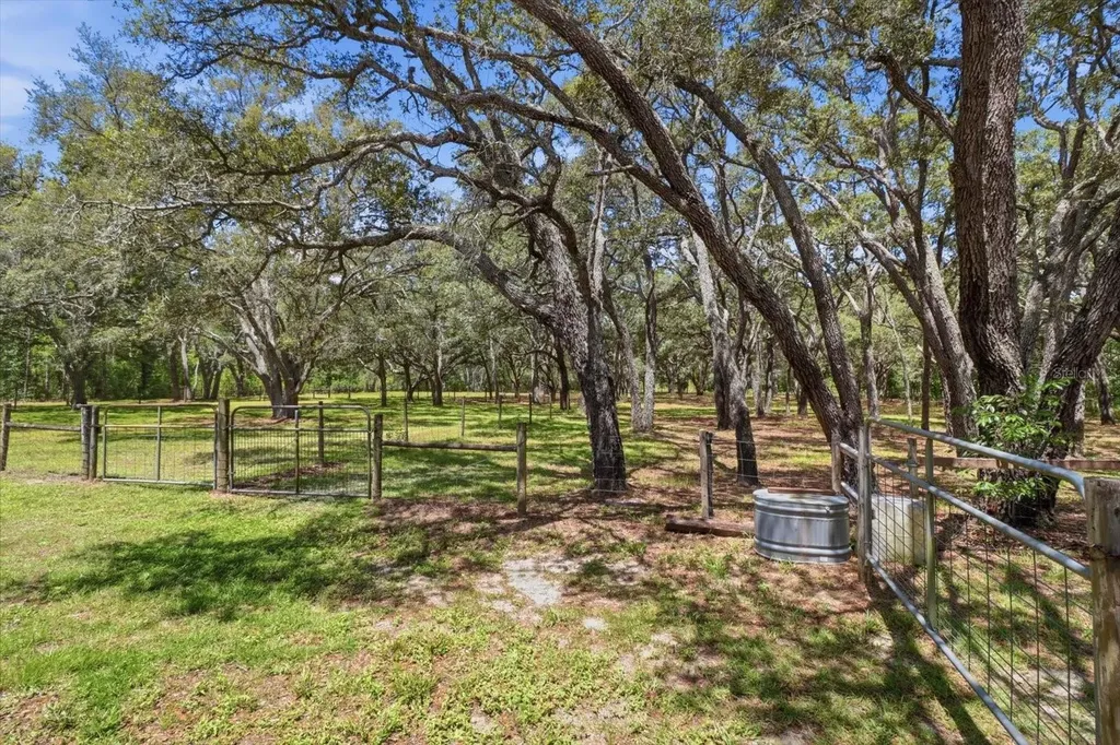 7298 S Rama Avenue Lecanto FL 34461