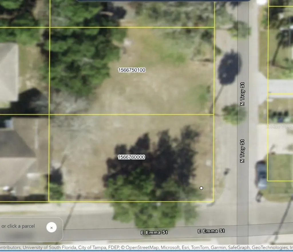 4504 N Troy Street Tampa FL 33610