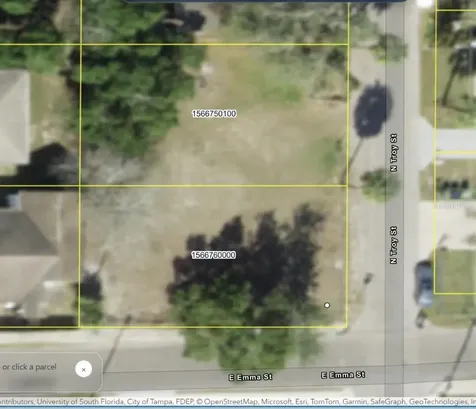 4504 N Troy Street Tampa FL 33610
