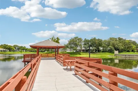 11033 Salt Tree Drive Port Richey FL 34668