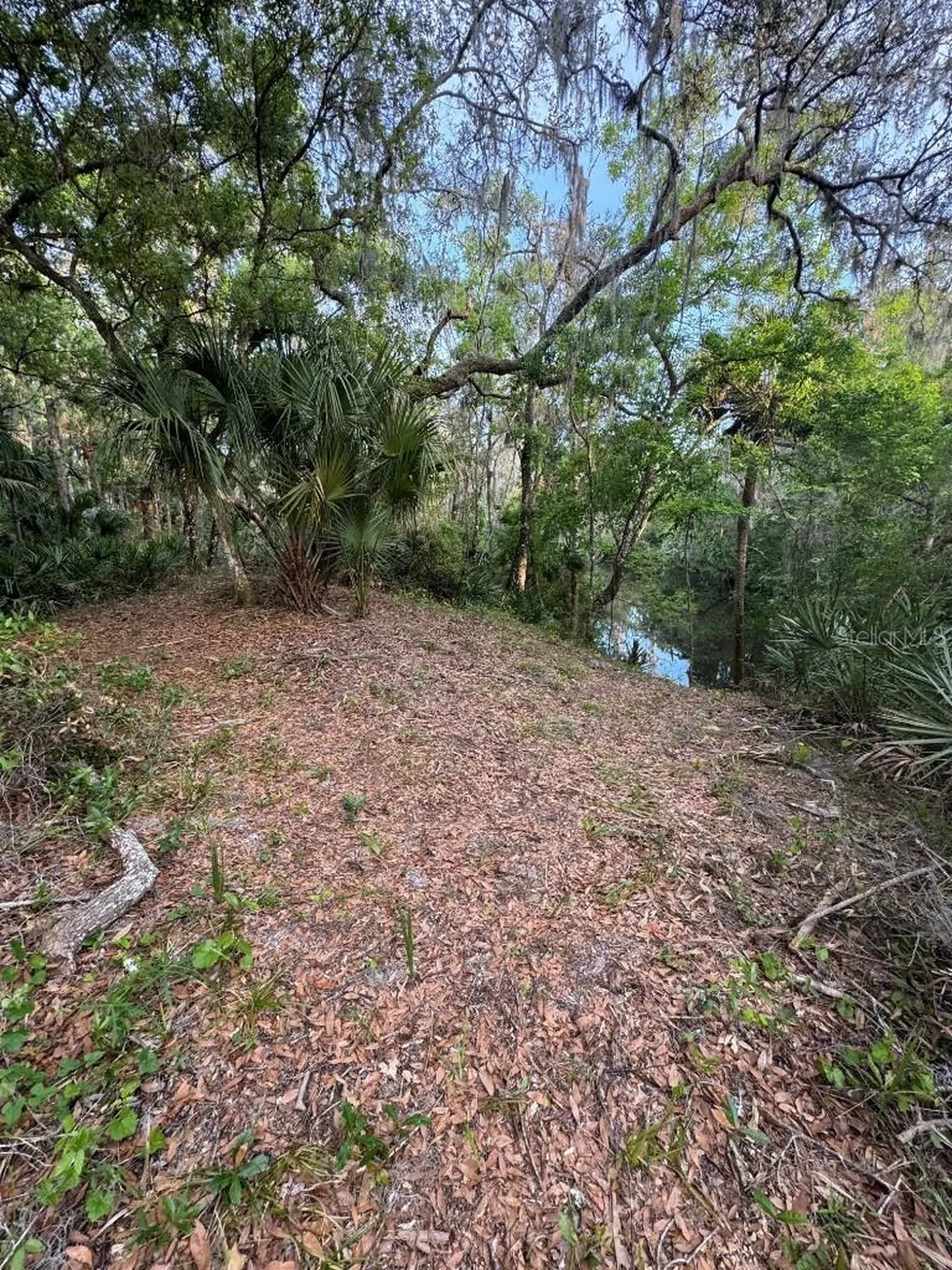 901 Shoals Landing Drive Brandon FL 33511